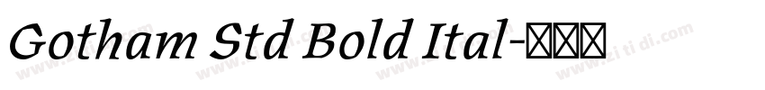 Gotham Std Bold Ital字体转换